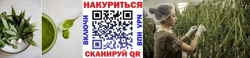 Canna-Cookies марихуана  где купить наркоту  Аша 