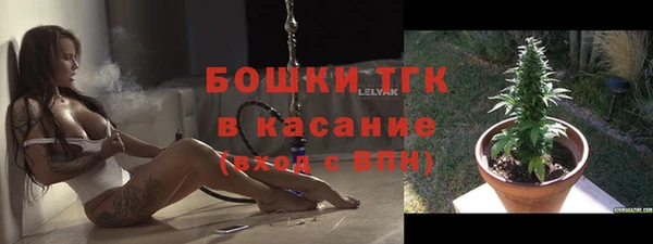 хмурый Алексин