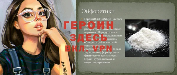 винт Галич