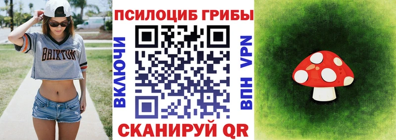 хочу наркоту  Аша  Псилоцибиновые грибы мухоморы 